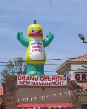 Giant Inflatable Duck