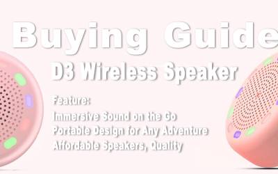 D3 Wireless Small Speaker