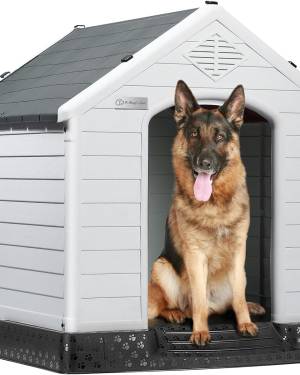 Plastic Dog House