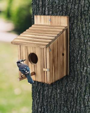 Bird Houses with Wooden Pole