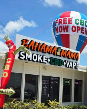 22Ft Free CBD Now Open Giant Roof Top Advertising Balloon | BUY OR RENT - Image 2